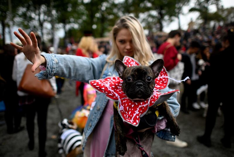 A dog dressed in a Stranger Things costume attends the Tompkins Square Halloween Dog Parade in Manhattan in New York City. AFP