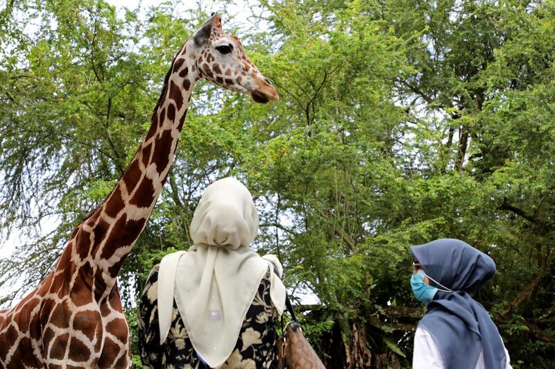 Visitors look at a giraffe at the national zoo in Kuala Lumpur, Malaysia. Reuters