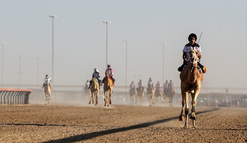 Camel jockeys compete during the annual UAE National Day Camel Marathon at Al Marmoom Camel Racing Track in Dubai on January 14. All photos: EPA / Ali Haider