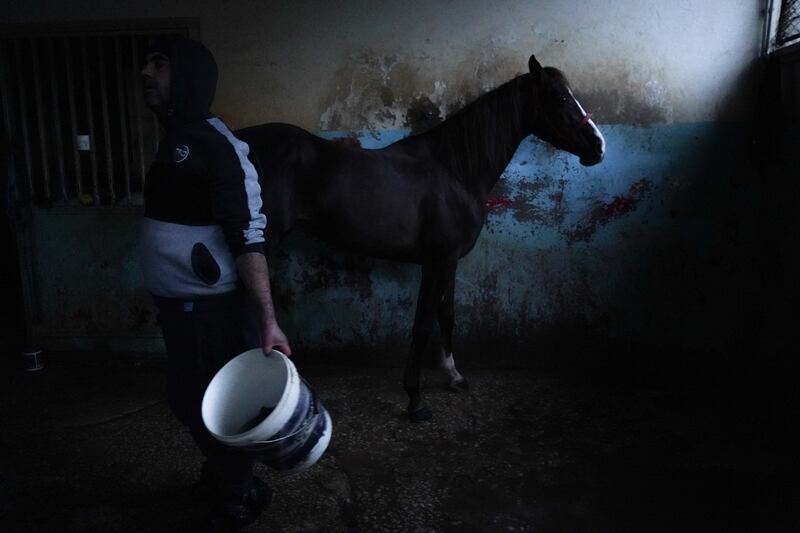 A handler scrubs down a race horse at Beirut's hippodrome. All photos by Finbar Anderson for The National