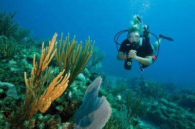 Scuba diving in the GCC has had its strongest dive season in the last 10 years, but other regions look set for a slow recovery. Courtesy ProDive Middle East.
