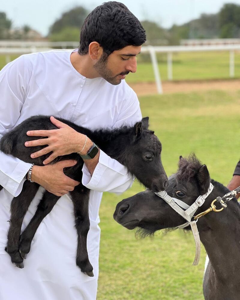 Sheikh Hamdan bin Mohammed, Crown Prince of Dubai, has asked for help naming his adorable new baby pony. Photo: Instagram / Sheikh Hamdan
