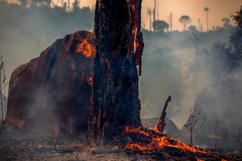 A burnt area of forest in Altamira, Para state. AFP