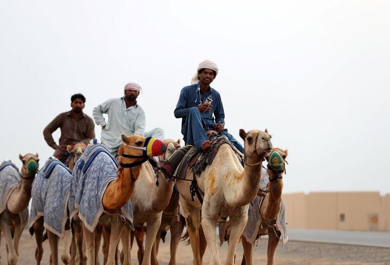 Dubai, United Arab Emirates - April 10, 2019: Camel traders/trainers competing at the Marmoom season finals. Wednesday the 10th of April 2019. Near Al Marmoom Camel race track, Dubai. Chris Whiteoak / The National