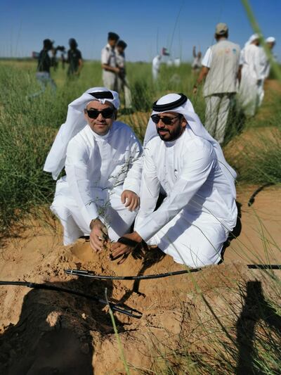 Hundreds of trees have been planted in Al Faya to mark the Year of Tolerance and serve as a natural habitat for endangered species. Environment Agency Abu Dhabi.