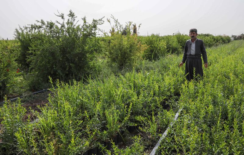 Muhamad uses his popular online platform to raise awareness of protecting the environment and the need to support local farmers, in his native Kurdistan and beyond.