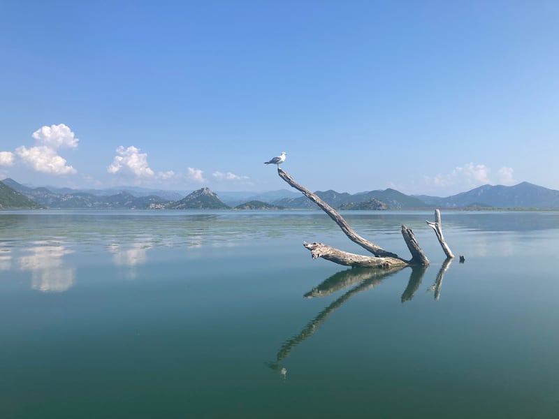 Watching over Skadar