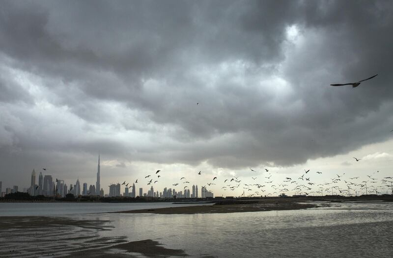 Stormy Skyline of Dubai as Weather approaches, Burj Khalifa in the background with seagulls flying. 