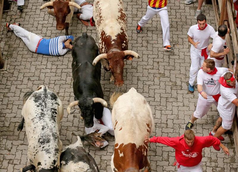 Steers and bulls from the Ranch of Torrestrella enter the bullring during the second day of the San Fermin Running Of The Bulls festival, on July 7, 2014 in Pamplona, Spain. The annual Fiesta de San Fermin, made famous by the 1926 novel of US writer Ernest Hemmingway The Sun Also Rises, involves the running of the bulls through the historic heart of Pamplona, Getty Images