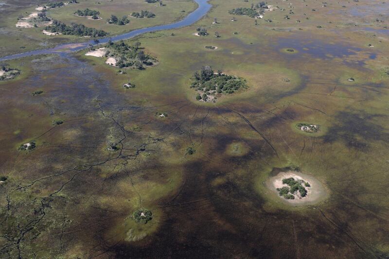 Trees stand on islands as water begins to fill the Okavango Delta Reuters