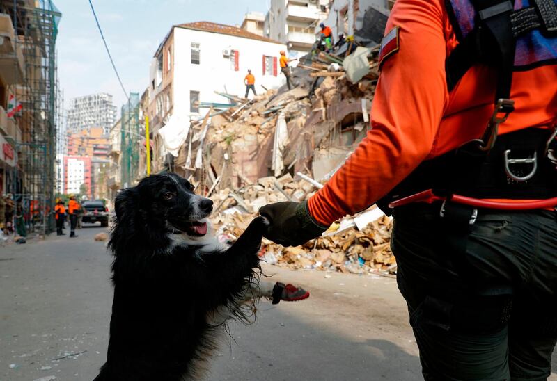 A Chilean rescue worker holds a sniffer dog Flash by the paw as others dig through the rubble of a badly damaged building in Lebanon's capital Beirut. AFP