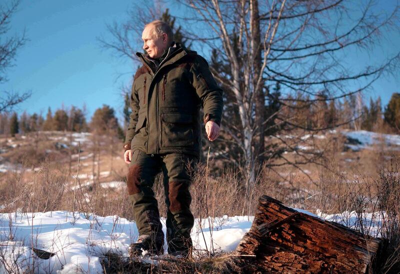 Russian President Vladimir Putin takes a walk in taiga forest in Russia's Siberia region. AP Photo