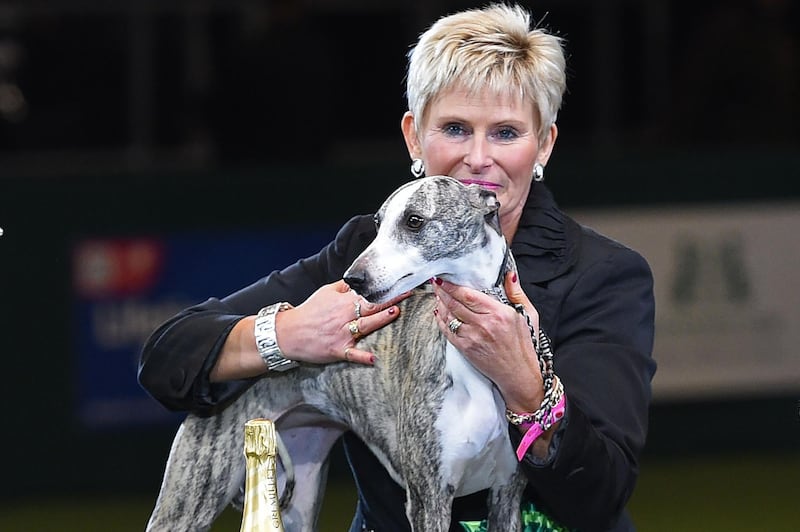 Owner Yvette Short holds "Collooney Tartan Tease" (Tease), the Whippet, winner of the Best in Show competition on the final day of the Crufts dog show at the National Exhibition Centre. AFP