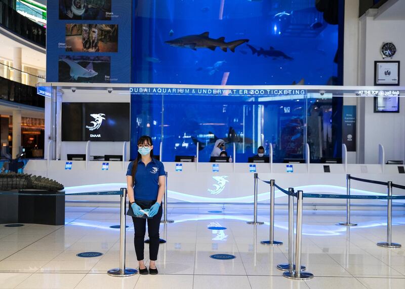 DUBAI, UNITED ARAB EMIRATES. 11 JUNE 2020.  Dubai Mall’s Dubai Aquarium and Underwater Zoo(Photo: Reem Mohammed/The National)Reporter:Section: