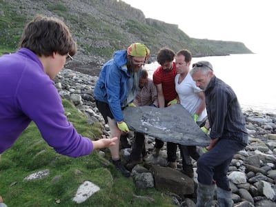 Researchers carry part of the fossil of a newly identified Jurassic Period pterosaur found on a rocky beach at Scotland's Isle of Skye, Britain in 2017. Reuters