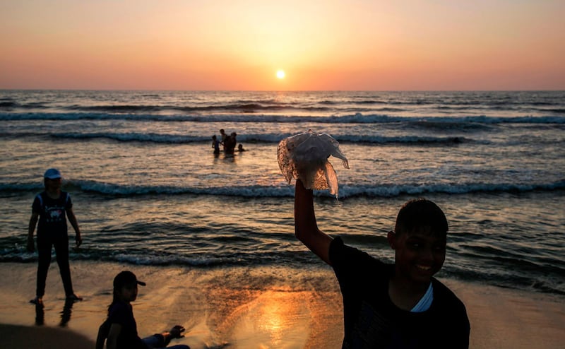 TOPSHOT - A Palestinian boy holds up a jellyfish that washed-up along the shore at a beach in Gaza City at sunset on July 9, 2019.  / AFP / MOHAMMED ABED
