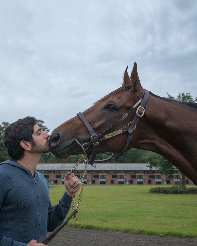 Showing champion thoroughbred Ghaiyyath his appreciation. Instagram / Sheikh Hamdan bin Mohammed