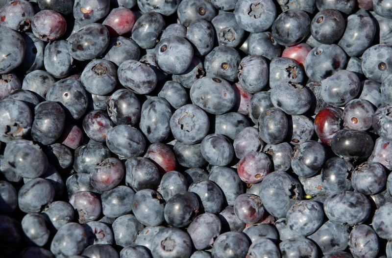 Blueberries are a superfood that can help to lower high blood pressure. Reuters