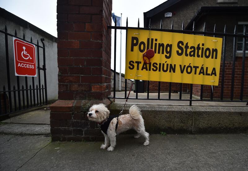 Bonnie, a terrier cross waits for her master outside a polling station in Drumconda as the Irish Election takes place in Dublin, Ireland. Getty Images