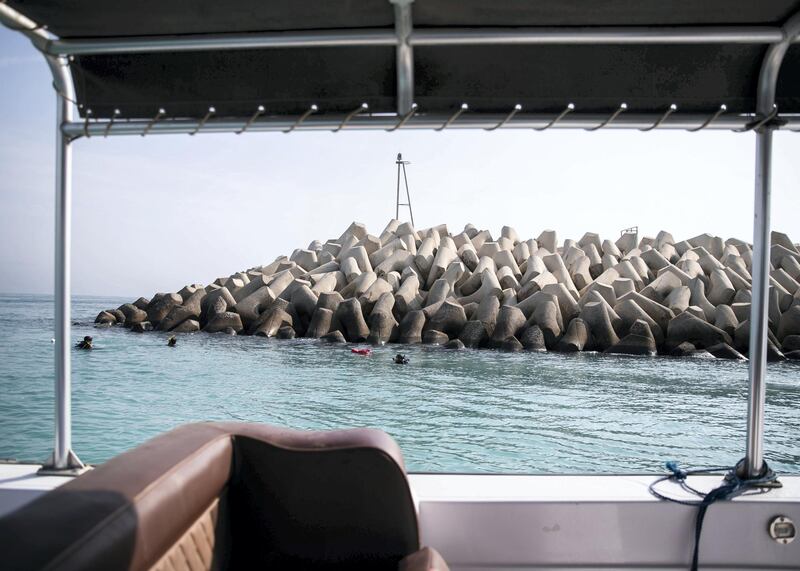 FUJAIRAH, UNITED ARAB EMIRATES. 3 AUGUST 2020. 
The UAE is calling on more volunteer divers to help restore and replant coral reefs in the open waters of Fujairah.

Over the next five days, teams of volunteers will take fresh coral from Dibba Fujairah Port and replant it further out at sea, about 1km from Dibba Rock, a popular diving spot in the emirate.  

The campaign is part of an initiative by the Ministry of Climate Change and Environment and Fujairah Adventure Centre to help sustain and grow marine life in UAE waters.
(Photo: Reem Mohammed/The National)

Reporter:
Section: