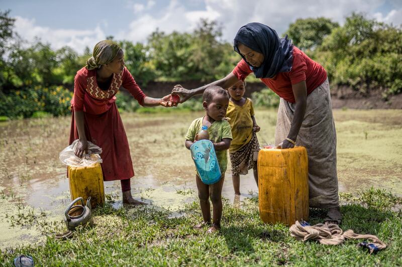 People become infected with Guinea worms by drinking unfiltered water from ponds and other stagnant water. Courtesy The Carter Centre