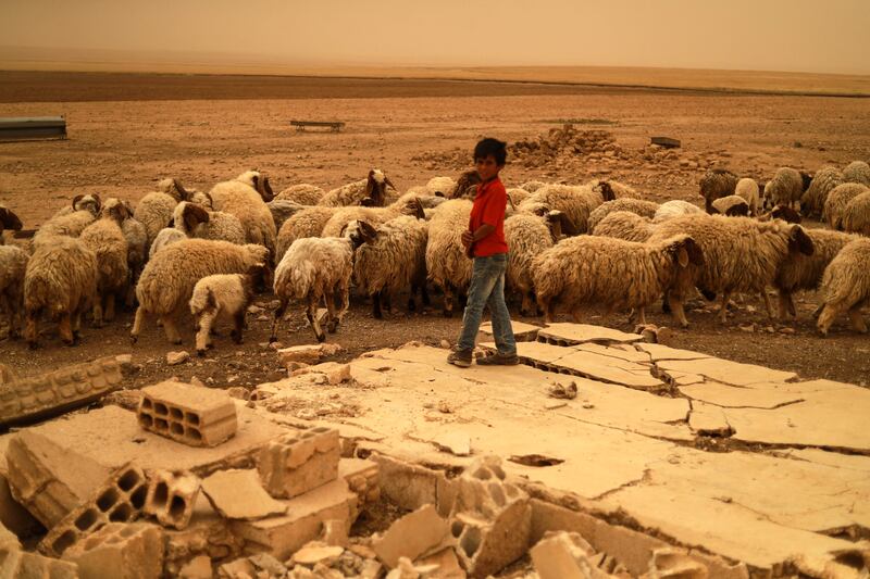 A boy stands near a flock of sheep as a sandstorm approaches in the Syrian countryside of Tabqa. Syria is among the countries most vulnerable and poorly prepared for climate change, which is expected to worsen. AFP