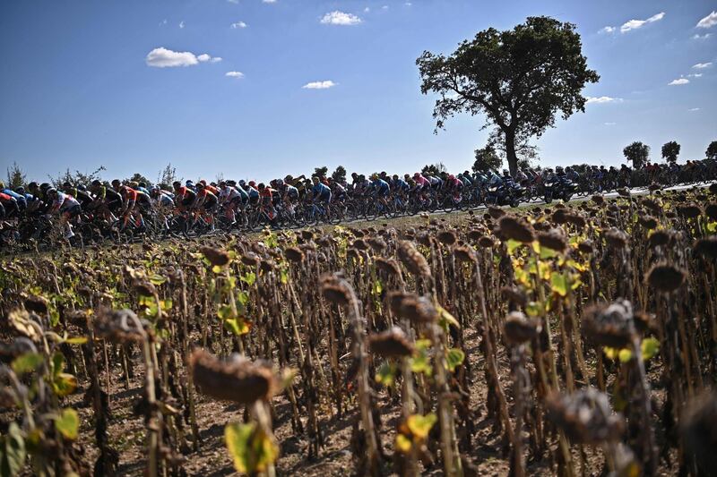 The peloton during Stage 11. AFP