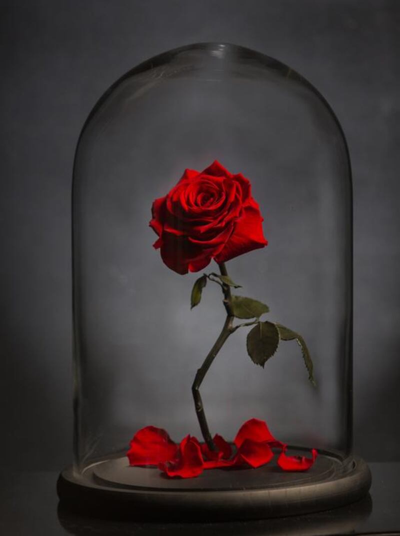 Forever Rose. Courtesy Forever Rose