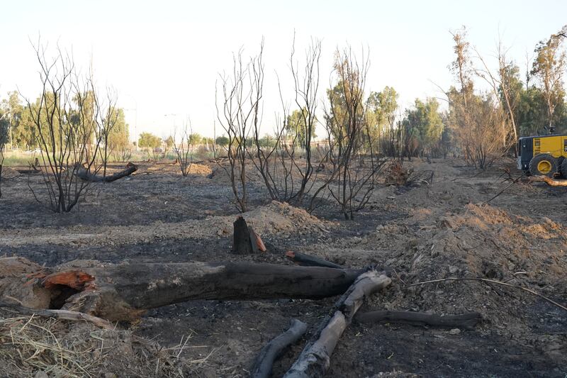 The fire left part of the forest charred and smoking.