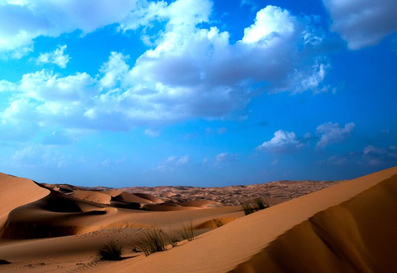 Near the Qutuf watchtower in the Liwa Crescent, Abu Dhabi. Victor Besa / The National