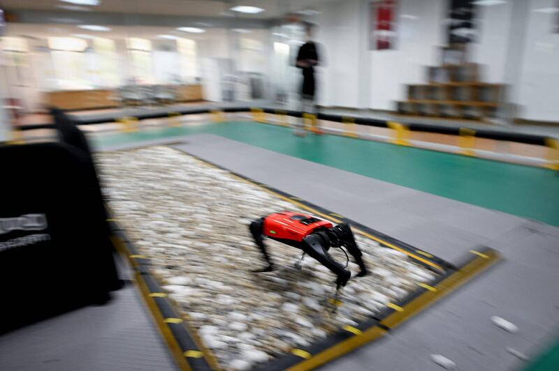 The AlphaDog is whip fast, obeys commands and doesn't leave unpleasant surprises on the floor. Wang Zhao / AFP