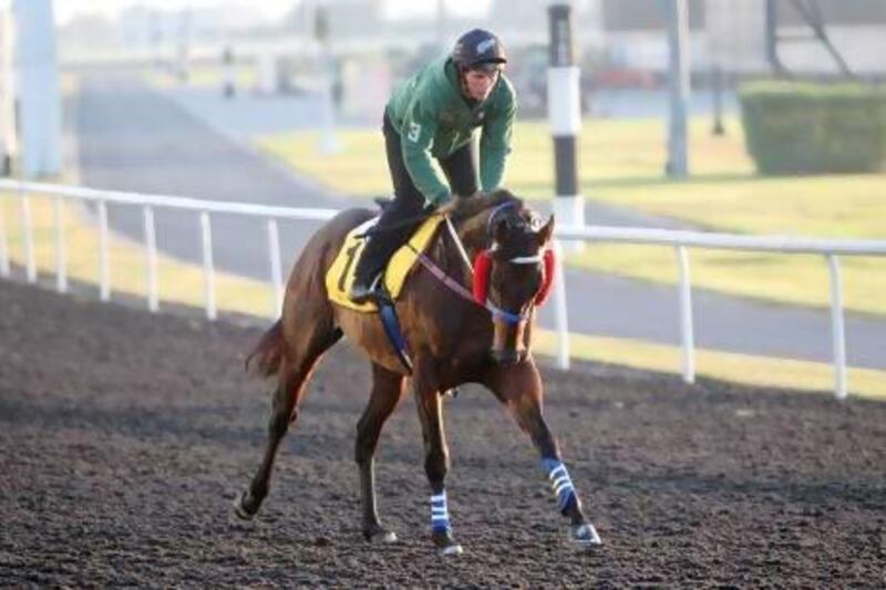 Ocean Park ran a poor race on World Cup night at Meydan Racecourse in Dubai on Saturday and was still hot in the foreleg the morning after. Jake Badger for The National