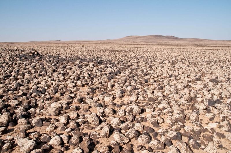 Basalt stones and rocks from ancient volcanoes cover Black Desert in the Badia region of Jordan. Alamy