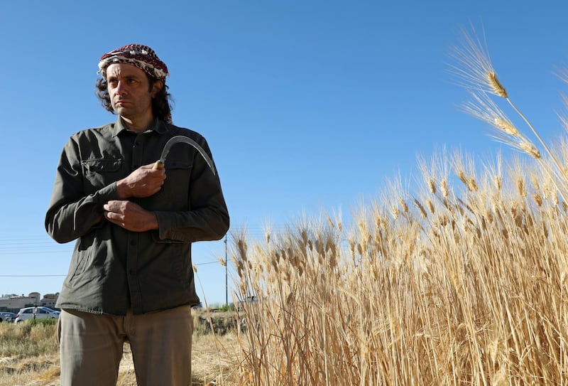 Rabee Zureikat, co-founder of the social enterprise Zikra for Popular Learning, during the wheat harvest in Amman, Jordan. Reuters