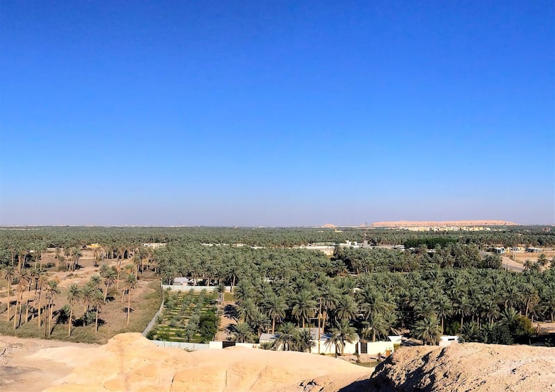 The Al-Ahsa Oasis in the desert of Saudi Arabia. Francois Cristofoli / UNESCO / EPA