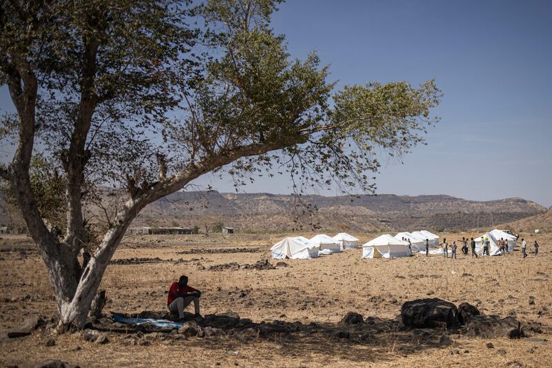 A Sudanese refugee rests under a tree in the newly established Awulala refugee camp, near Maganan, 80km from the Sudanese border in Ethiopia's Amhara region. AFP