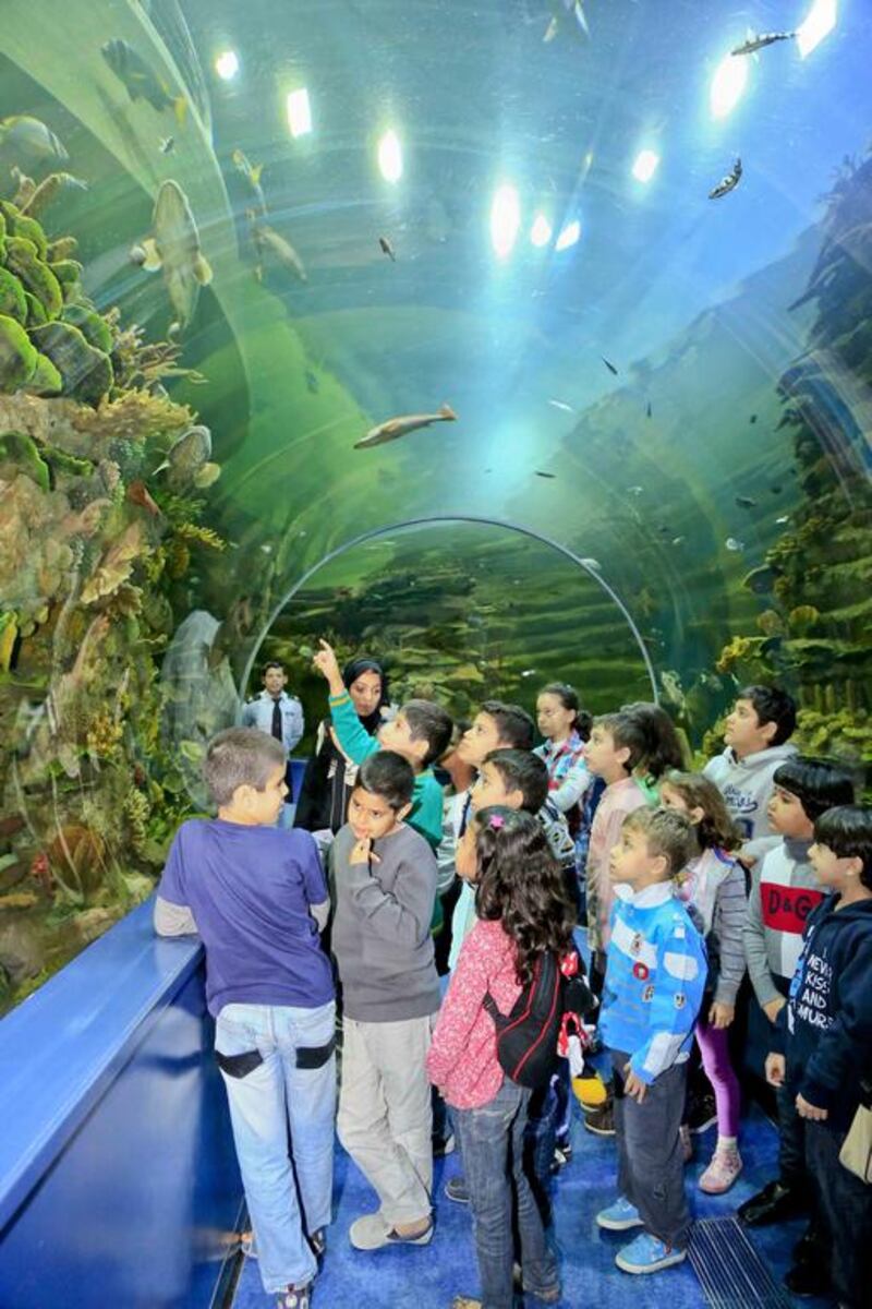 Children exploring the underwater world at Sharjah Aquarium. Courtesy  Sharjah Aquarium

