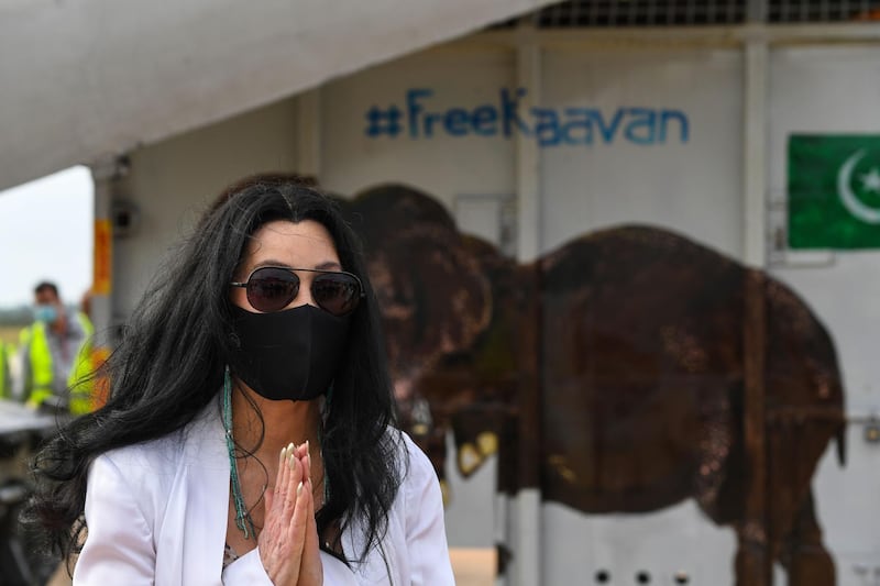 US pop singer Cher gestures in front of the crate of Kaavan the Asian elephant upon his arrival in Cambodia from Pakistan at Siem Reap International Airport in Siem Reap on November 30, 2020.  / AFP / TANG CHHIN Sothy
