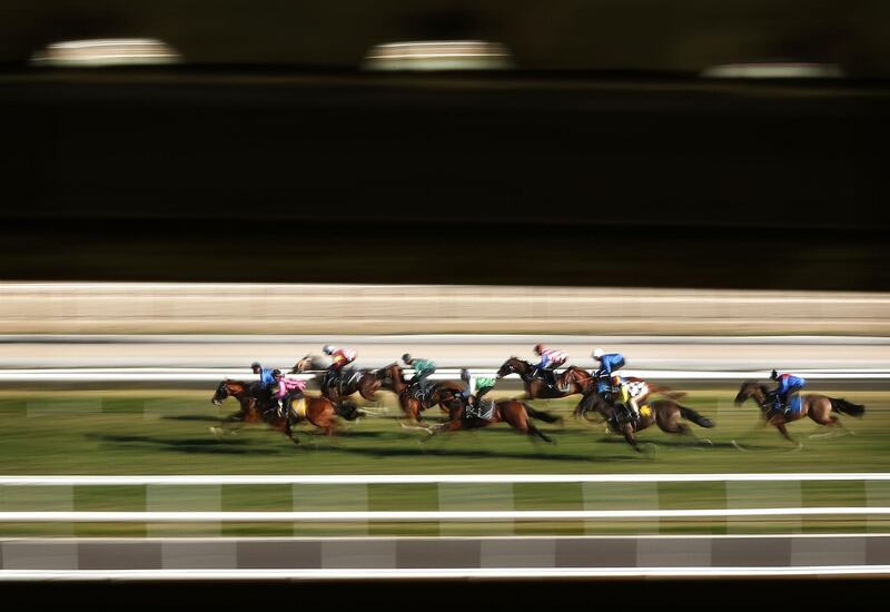 Horses race during barrier trials at Rosehill Gardens in Sydney, Australia. Ryan Pierse/Getty Images