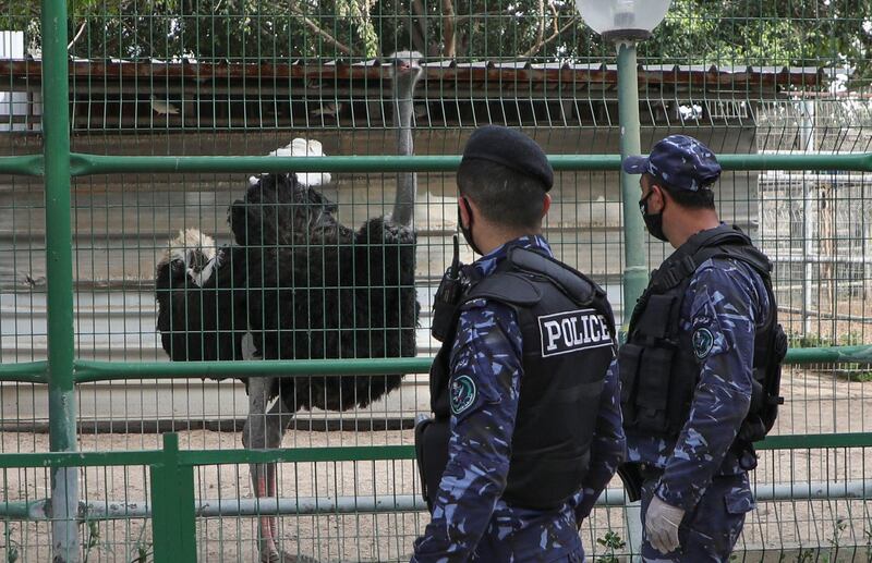 Palestinian security officers look at an ostrich in a cage at the Qalqilya Zoo in the occupied West Bank, after the animal park was completely closed to visitors due to the novel coronavirus pandemic, on April 21, 2020. The zoo manager said the animals had started mating more due to the calm atmosphere, with the lack of visitors also improving their behaviour. The zoo is funded by the local municipality but faces a potential financial crisis with budget cuts. / AFP / JAAFAR ASHTIYEH
