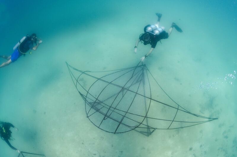 Some of the reefs are in the shape of marine species, such as this ray