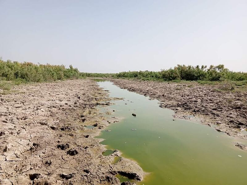 A lack of clean water for hygiene has led to a surge in skin diseases among residents of southern Iraq's marshlands.
Photo: Rasool Nouri