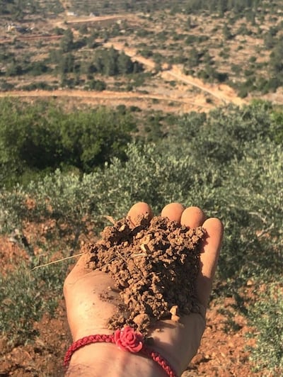 Palestinian artist Khaled Jarrar collected fertile soils from his village outside Ramallah and is presenting them alongside his NFT artwork. Courtesy Khaled Jarrar