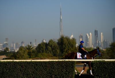 DUBAI, UNITED ARAB EMIRATES - MARCH 27:  Gunnevera takes part in track work ahead of Dubai World Cup 2018 at the Meydan Racecourse on March 27, 2018 in Dubai, United Arab Emirates.  (Photo by Tom Dulat/Getty Images)