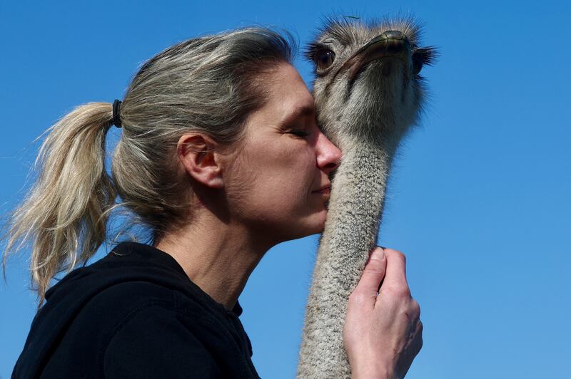 Wendy Adriaens, the founder of De Passiehoeve, a rescue farm where animals support people with autism, depression, anxiety or drug problems, hugs Blondie the ostrich, at Passiehoeve farm in Kalmthout, Belgium. Reuters