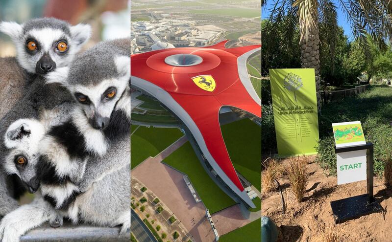 Things to do this weekend include visiting Dubai's The Green Planet, celebrating the 10th anniversary of Ferrari World Abu Dhabi or visiting the new jogging track at Umm Al Emarat Park. 