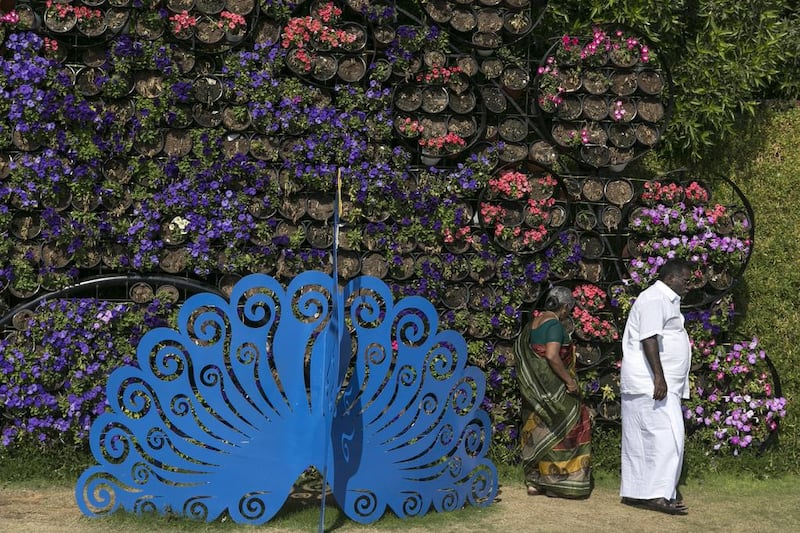 Dubai Miracle Garden has added thousands of butterflies to its attractions. Reem Mohammed / The National  