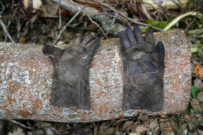 A labourer’s gloves are seen on a log in an unreserved forest in Igede-Ekiti township. Akintunde Akinleye / Reuters