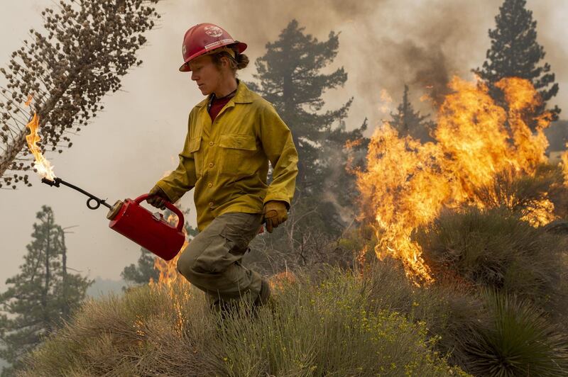 Mormon Lake Hotshots firefighter Sara Sweeney uses a drip torch to set a backfire to protect mountain communities from the Bobcat Fire in the Angeles National Forest, north of Monrovia, California, USA. AFP