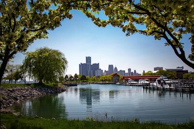 This view of Detroit is across the marina at Milliken State Park, located along the Detroit River. Detroit's skyline is framed in be the flowering trees which surround the marina.